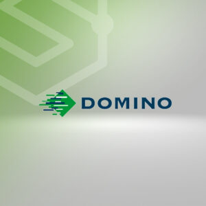 Domino